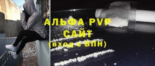 гашик Алексин