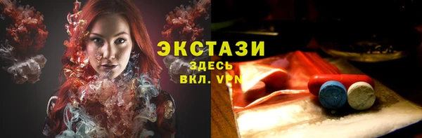 гашик Алексин