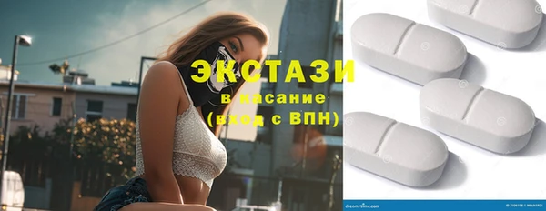 гашик Алексин