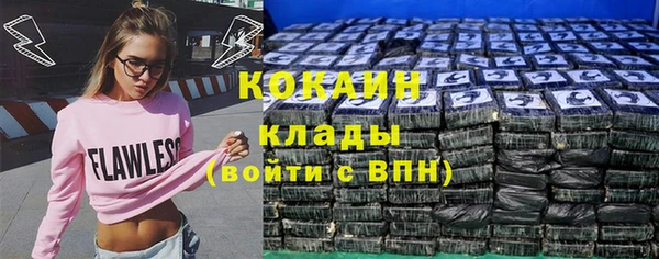 стаф Аркадак