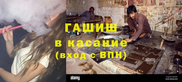 гашик Алексин