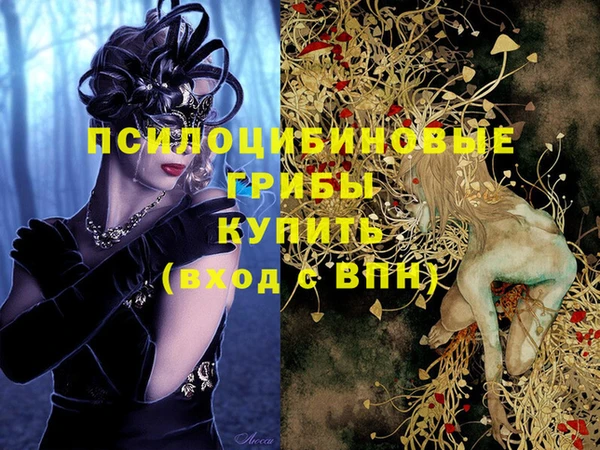 мяу мяу мука Армянск