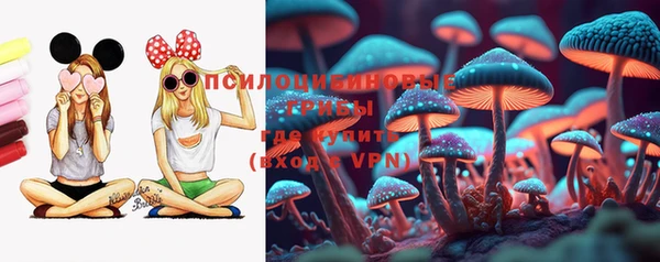 стаф Аркадак