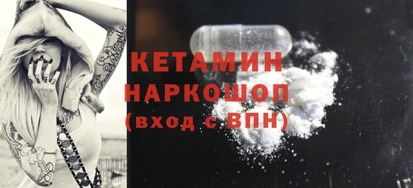 гашик Алексин