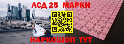 гидропоника Можга