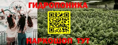 гидропоника Можга