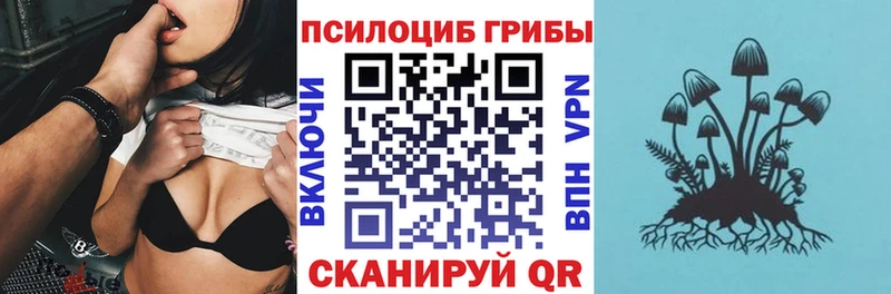 Галлюциногенные грибы мицелий наркота Светлоград