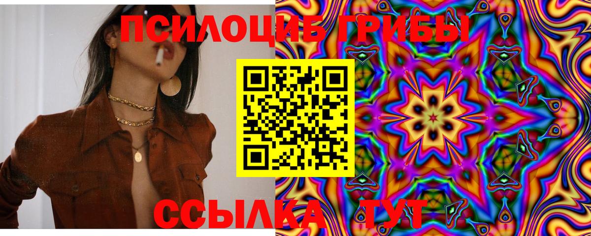 Псилоцибиновые грибы MAGIC MUSHROOMS  Вход с VPN  Светлоград 