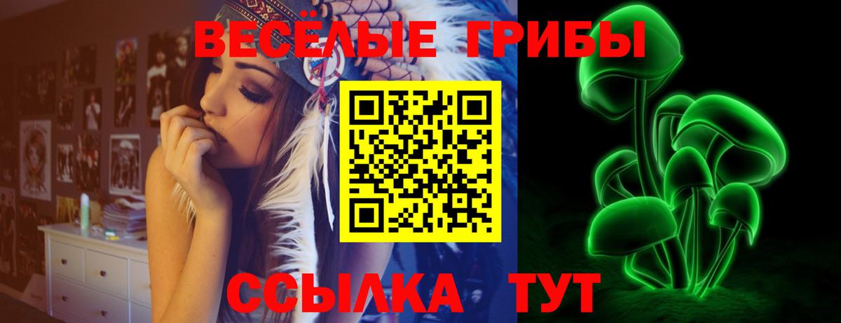 Псилоцибиновые грибы ЛСД Светлоград